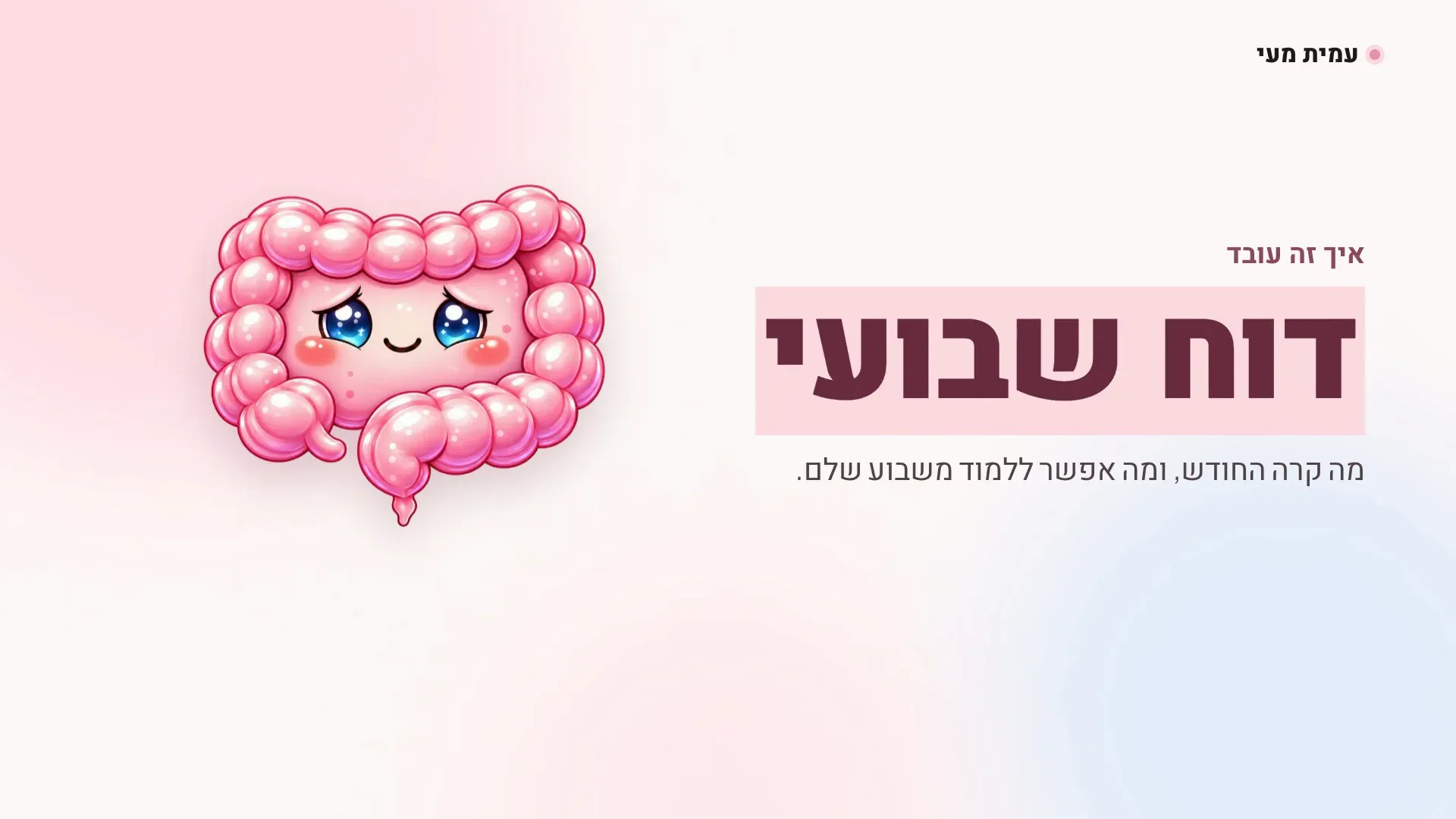 המעי הוורוד של עמית מעי ליד הכותרת דוח שבועי