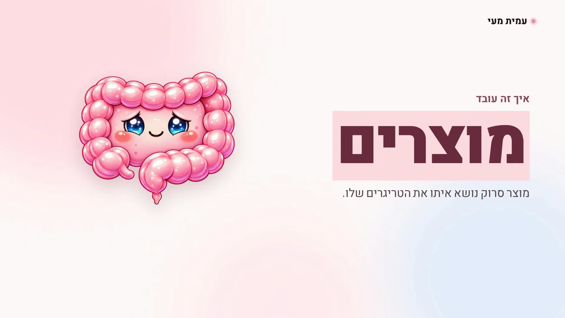 המעי הוורוד של עמית מעי ליד הכותרת מוצרים